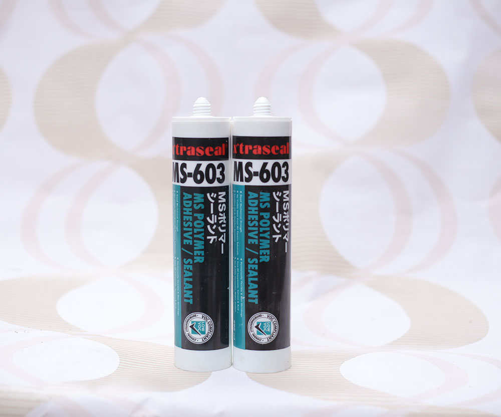 Keo tạo mạch bê tông X’traseal MS-603 290ml